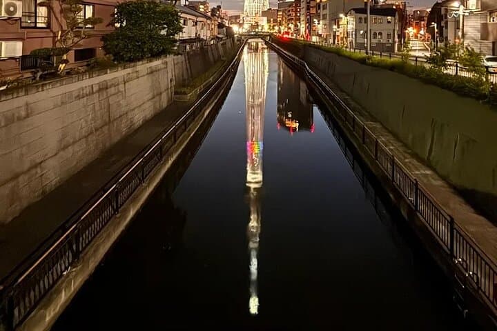 Private Tokyo Night Tour: Rainbow Bridge, Skytree & Shibuya After Dark photo 2