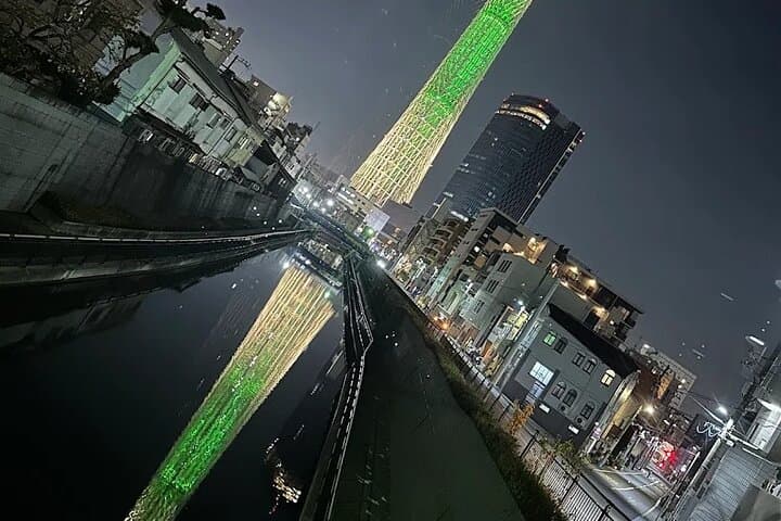 Private Tokyo Night Tour: Rainbow Bridge, Skytree & Shibuya After Dark photo 3