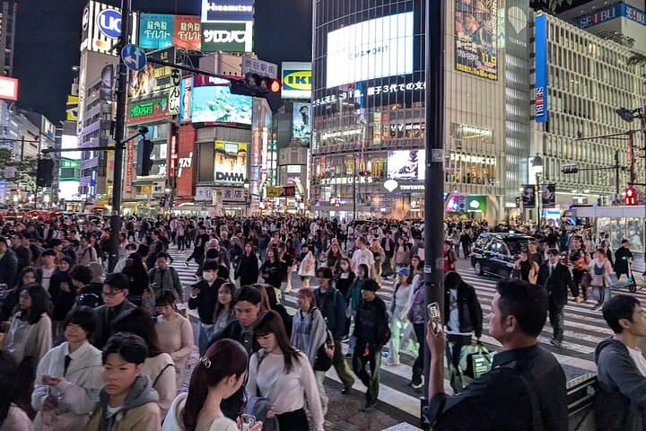 Private Tokyo Night Tour: Rainbow Bridge, Skytree & Shibuya After Dark photo 4