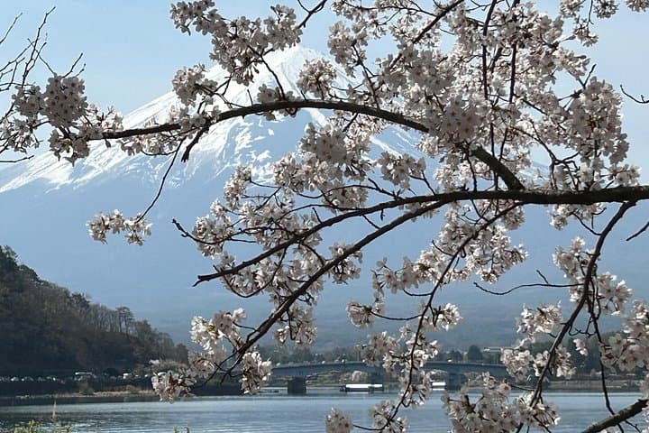 Full-Day Mt. Fuji Shuttle from Tokyo: Lake Kawaguchi, 5th Station & Oshino Hakkai photo 1