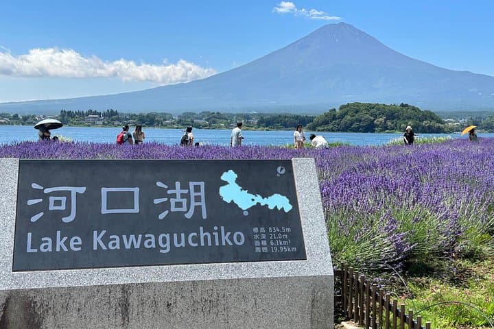 Full-Day Mt. Fuji Shuttle from Tokyo: Lake Kawaguchi, 5th Station & Oshino Hakkai photo 2
