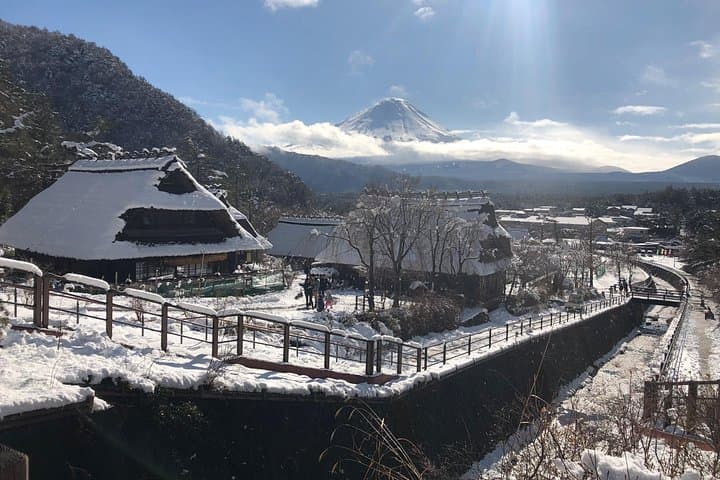 Full-Day Mt. Fuji Shuttle from Tokyo: Lake Kawaguchi, 5th Station & Oshino Hakkai photo 4