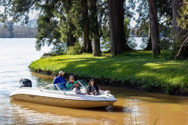 Unforgettable Small-Boat Ride Through the Tigre Delta — Private Tour from Buenos Aires photo 3