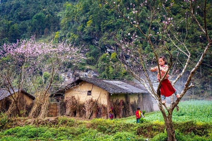 Explore Vietnam's Dong Van Karst Plateau: 3-Day Ha Giang Adventure photo 3