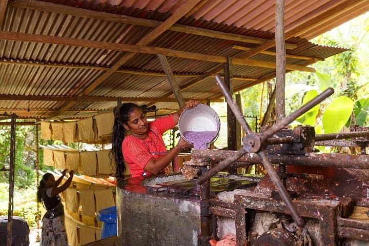 Kadadasi and the Backyard Forest: Eco Paper-Making & Permaculture Tour near Negombo photo 4
