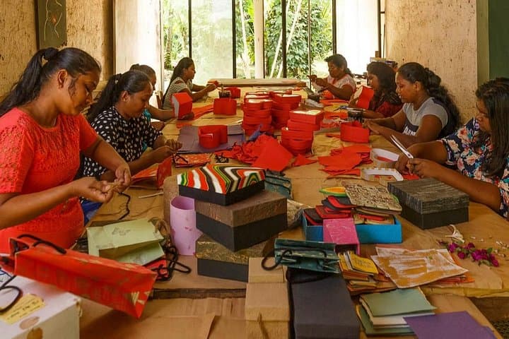 Kadadasi and the Backyard Forest: Eco Paper-Making & Permaculture Tour near Negombo photo 3