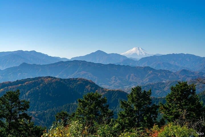 Mt Takao Private Nature Hike from Tokyo — Summit, Yakuo-in & Takao 599 Museum