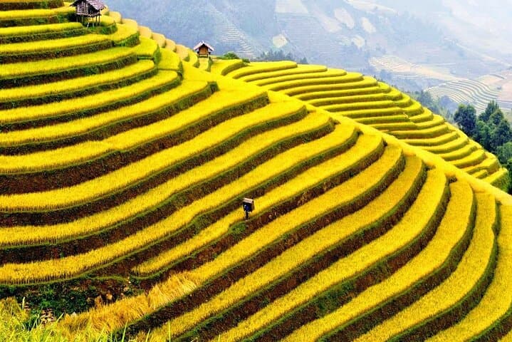 Hanoi to Ha Giang: 3-Day Ha Giang Loop & Ma Pi Leng Pass Adventure