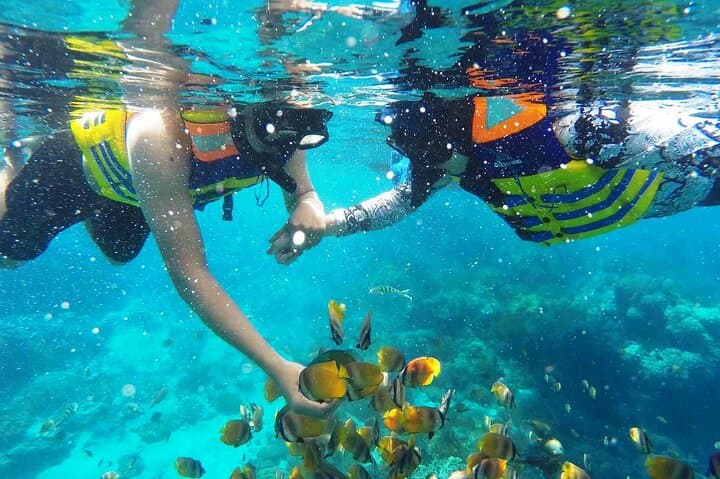 Nusa Dua Parasailing & Snorkeling Combo: Fly Over White Sands and Swim Coral Gardens photo 4
