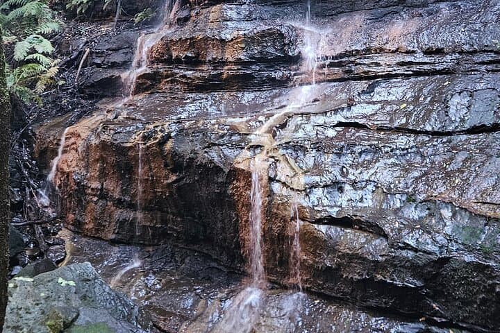 Luxury Private Blue Mountains Tour from Sydney — Echo Point, Scenic World & Leura photo 4