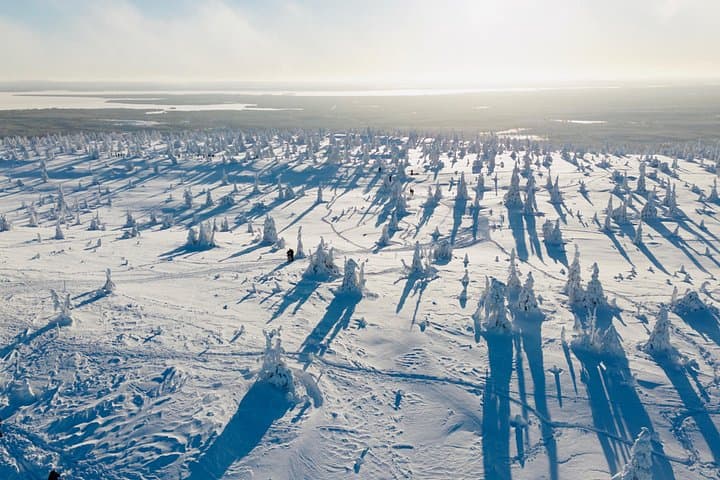 Arctic Light and Landscape Photo Adventure in Levi — Northern Lights & Midnight Sun Photography