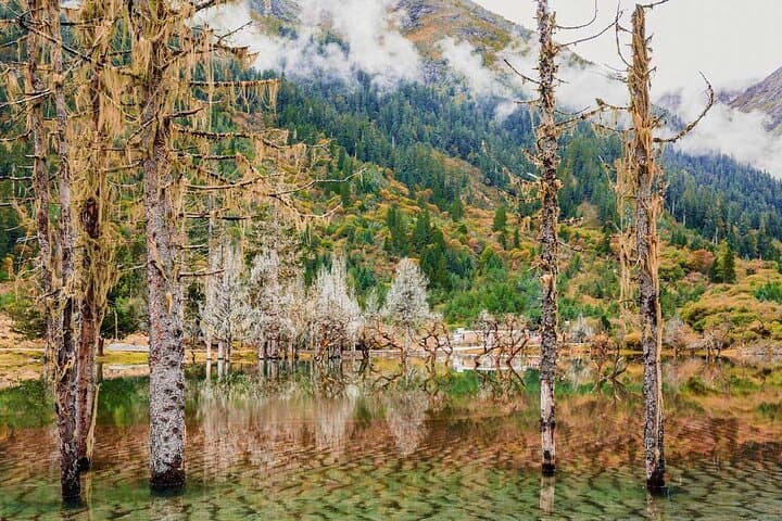 Siguniang Mountain & Bipenggou: 2-Day Scenic Tour from Chengdu photo 6