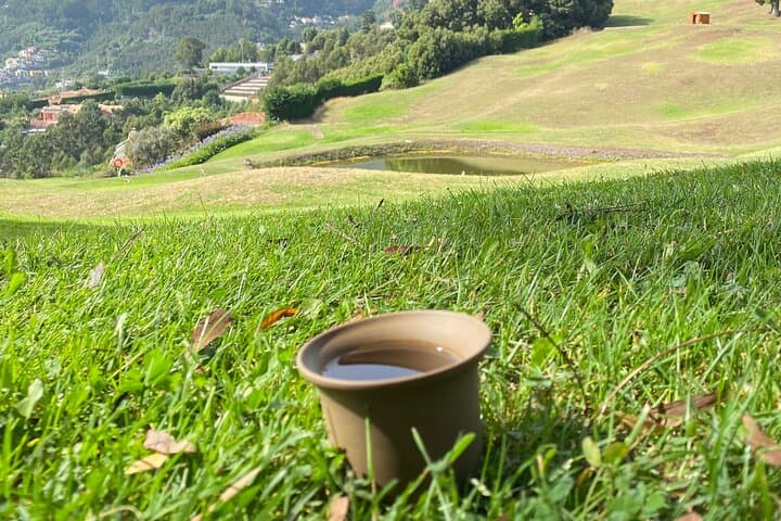 Mindful Tea Ceremony in Madeira’s Hidden Nature: A Quiet Outdoor Ritual photo 4