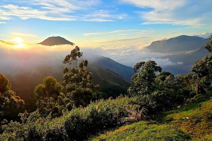 Coimbatore to Ooty Day Trip: Nilgiri Hill Station Highlights in One Day photo 4