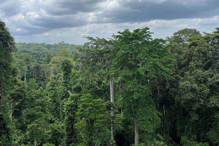 Explore Kakum Canopy & Cape Coast Castles: 2-Day Private Tour from Accra photo 3