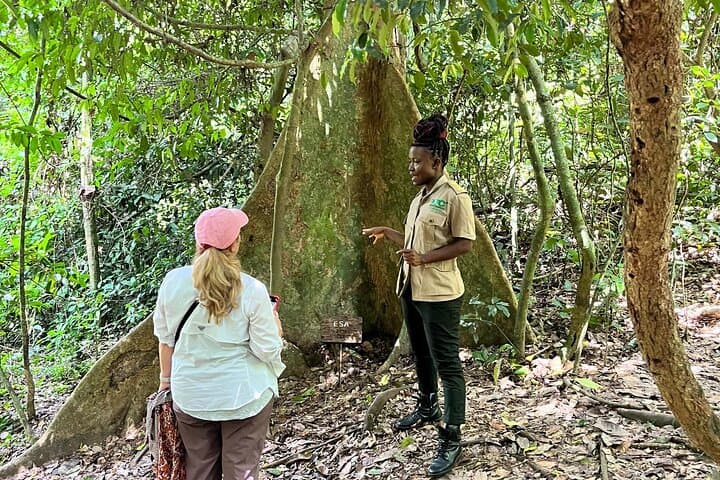 Explore Kakum Canopy & Cape Coast Castles: 2-Day Private Tour from Accra photo 5