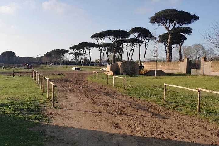 Horseback Riding in Castel Fusano Pine Forest Near Rome photo 4