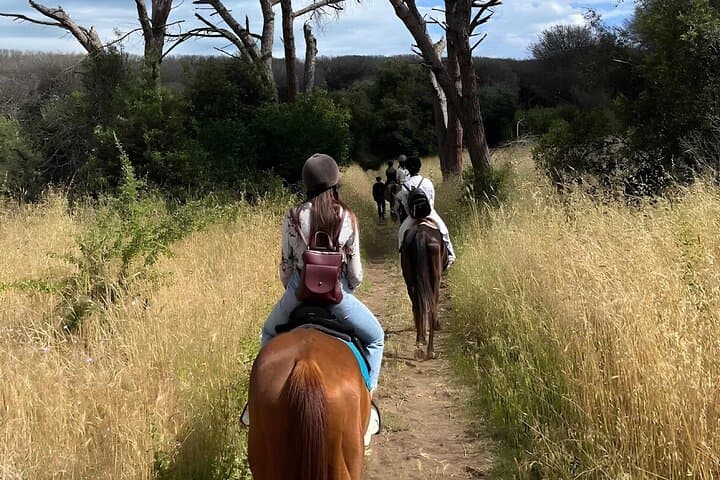 Horseback Riding in Castel Fusano Pine Forest Near Rome photo 2