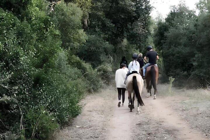 Horseback Riding in Castel Fusano Pine Forest Near Rome photo 5