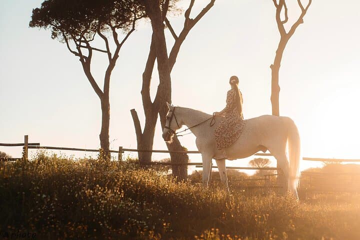 Horseback Riding in Castel Fusano Pine Forest Near Rome photo 3