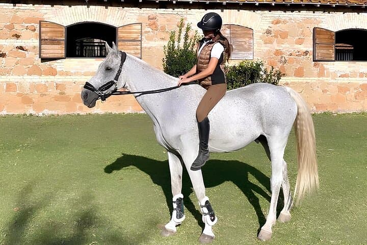 Horseback Riding in Castel Fusano Pine Forest Near Rome photo 6