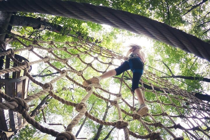High Ropes at Go Wild Loch Lomond: Tree-Top Course & Five Ziplines photo 3