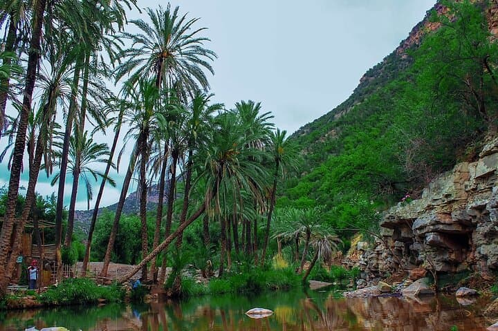 Private Guided Day Trip: Paradise Valley & Taghazout from Agadir photo 6