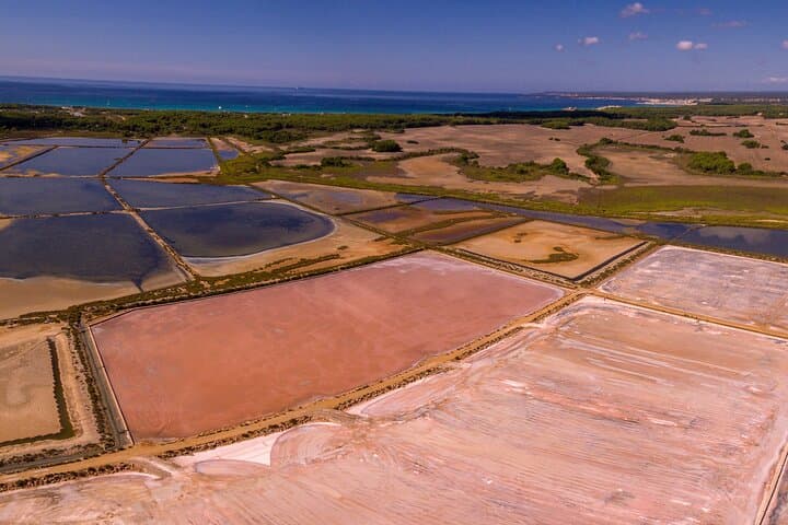 Day Trip from Palma to Es Trenc Beach and Santanyí: Salt Flats, Fishing Ports & White Sand photo 3