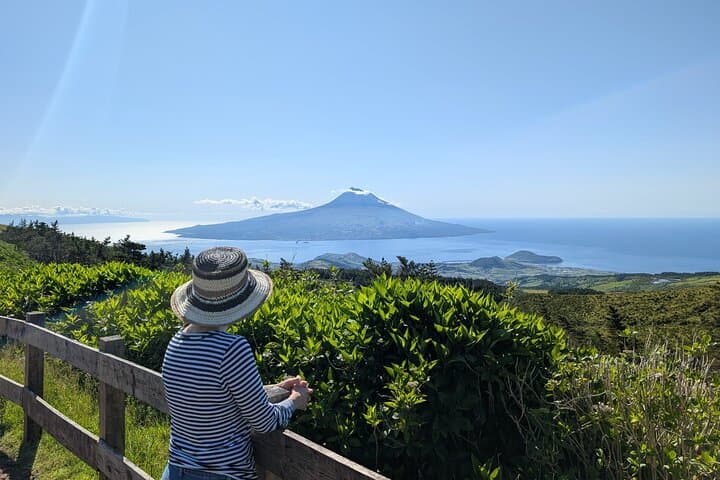 Customizable Full-Day Private Tour of Faial: Horta, Caldeira & Capelinhos