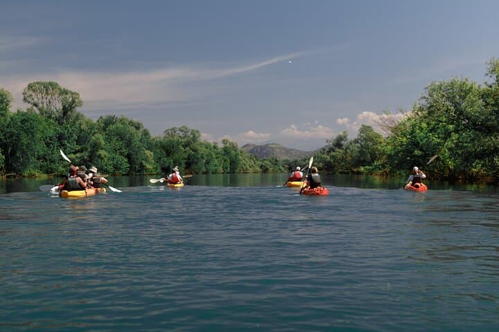 Skadar Lake Kayak & SUP Rental from Vranjina — Self-Guided Paddling on Montenegro’s Wetlands photo 3