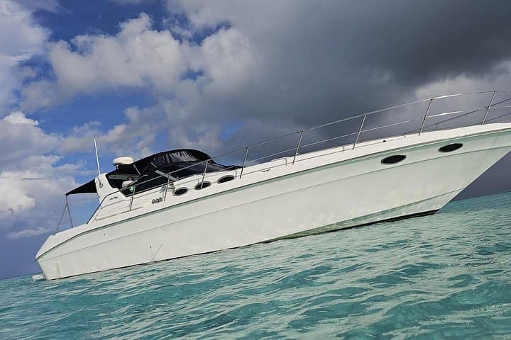 Private Boat Charter to Stingray City & Starfish Point — Grand Cayman Snorkel Tour photo 2