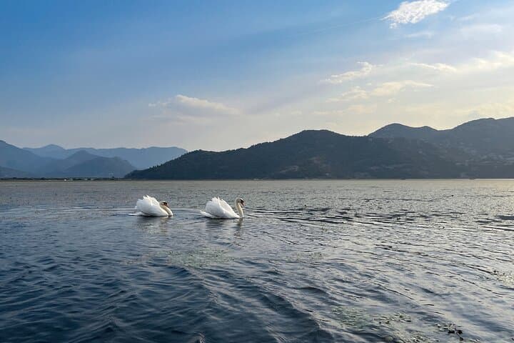 Skadar Lake Kayak & SUP Rental from Vranjina — Self-Guided Paddling on Montenegro’s Wetlands photo 2