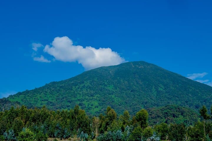 One-Day Bisoke Volcano Hike to Crater Lake from Kigali photo 2
