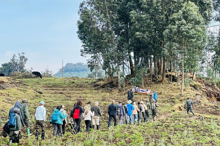 One-Day Bisoke Volcano Hike to Crater Lake from Kigali photo 5