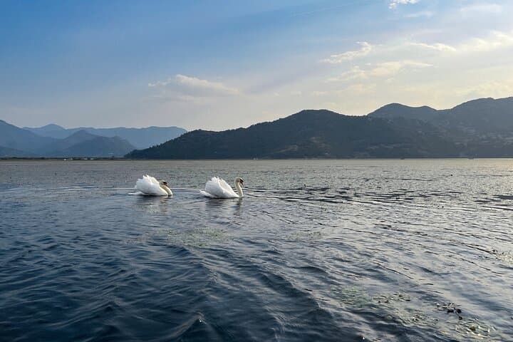 Skadar Lake Kayak Tour — 4-Hour Guided Paddle from Vranjina photo 2