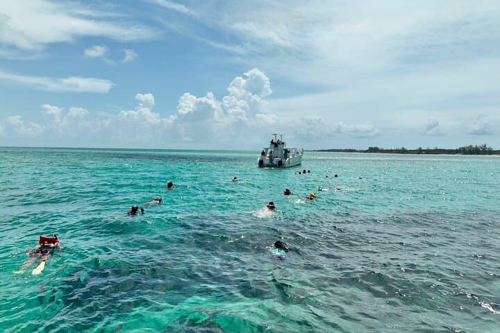 Swim with Pigs and Snorkel Rose Island: Nassau Day Trip photo 2