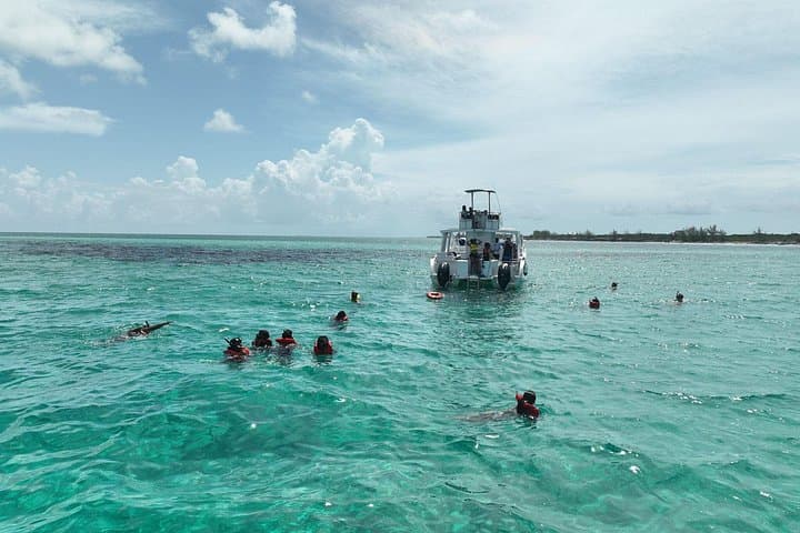 Rose Island Swimming Pigs & Beach Snorkeling — Nassau Day Trip photo 2