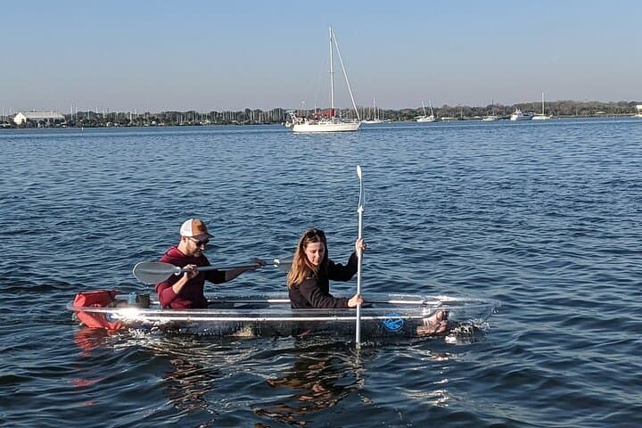 Cocoa Beach Clear Kayak and Paddleboard Dolphin & Manatee Tour photo 3