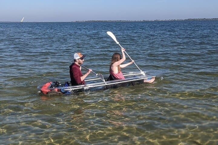 Cocoa Beach Clear Kayak and Paddleboard Dolphin & Manatee Tour photo 2