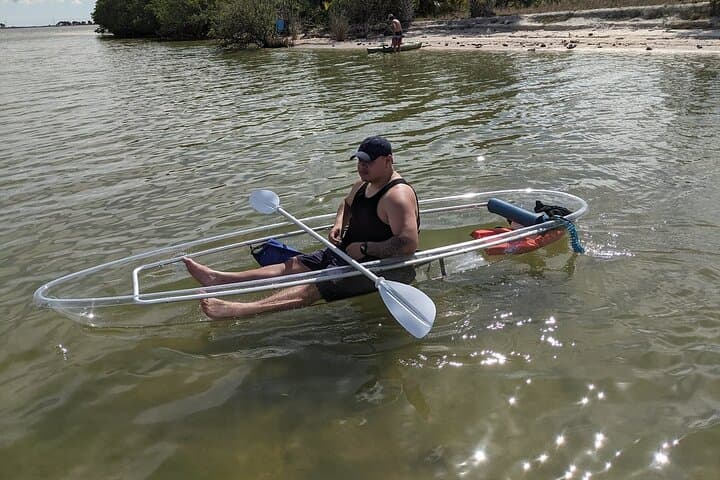 Cocoa Beach Clear Kayak and Paddleboard Dolphin & Manatee Tour photo 5