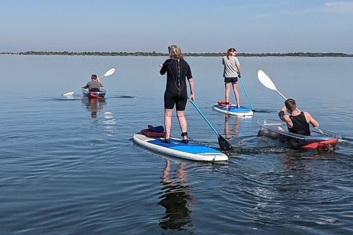 Cocoa Beach Clear Kayak and Paddleboard Dolphin & Manatee Tour photo 6