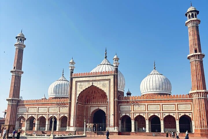 Private Delhi Day Tour with Rickshaw Ride — Old & New Delhi Highlights photo 3