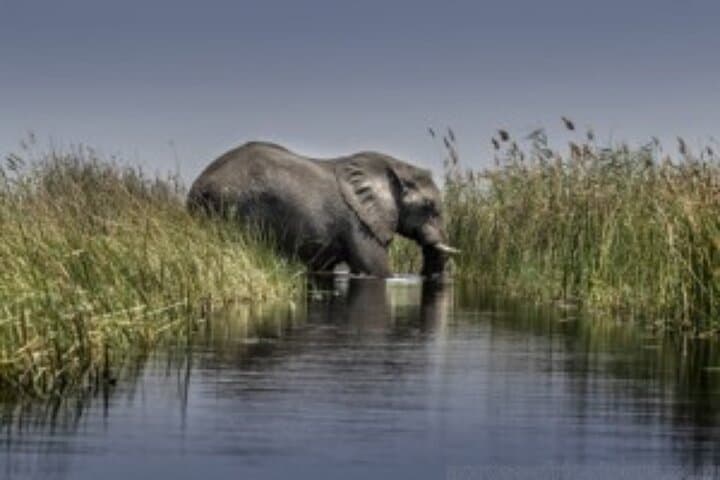 4-Day All-Inclusive Safari: Boteti, Makgadikgadi & Okavango Delta photo 2