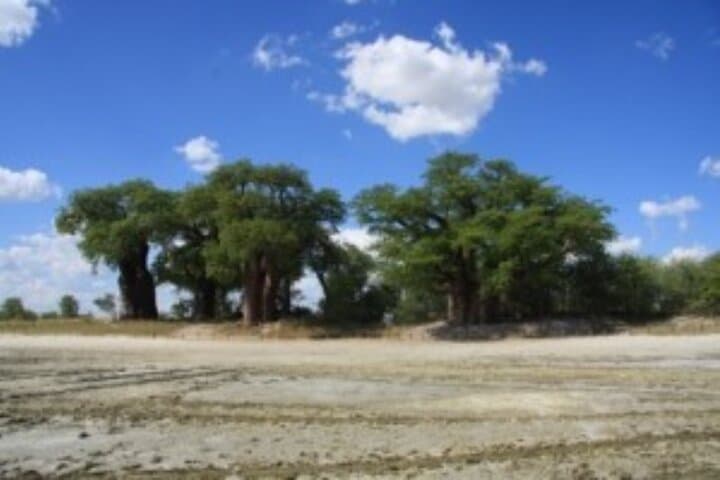 4-Day All-Inclusive Safari: Boteti, Makgadikgadi & Okavango Delta photo 3
