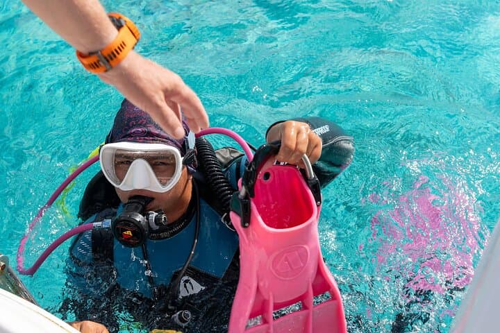 Private Two-Tank Shore Dive in Bonaire: Solo Cruise Traveler Shore Diving with a PADI Guide photo 2