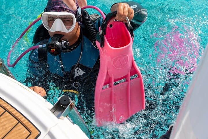 Concierge Two-Tank Boat Dive in Bonaire — Private Guided Access to Remote Reefs photo 4
