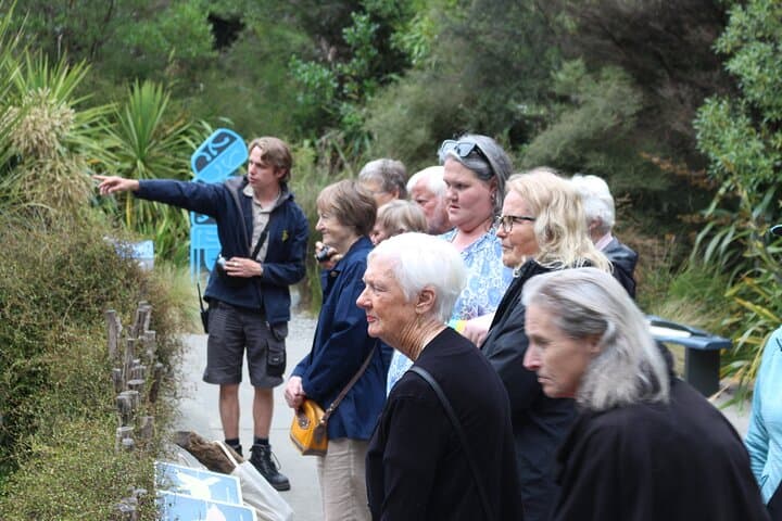 Animals of Aotearoa Wellington Zoo Tour — Native Wildlife Experience in Wellington