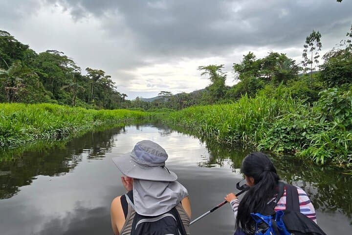 2-Day Manu National Park Jungle Lodge Tour from Cusco — Amazon Wildlife & Lake Machuwasi photo 4