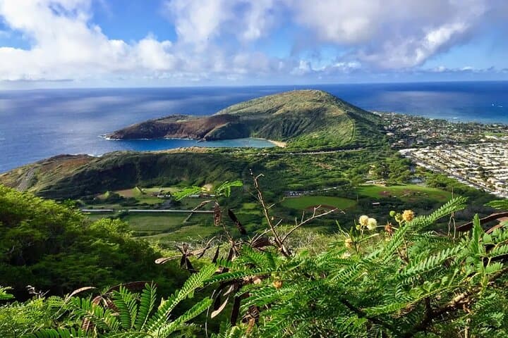 Koko Head Crater Hike and Halona Beach Cove: East Oahu Morning Adventure
