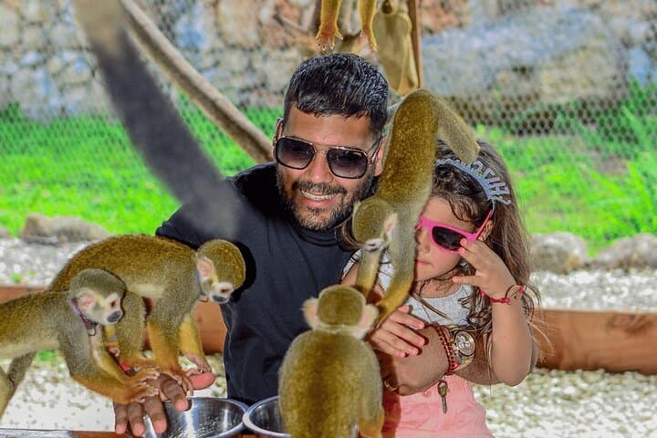 Punta Cana Full-Day Adventure: Monkeys, Cenote Caves & Plantation Tour photo 3